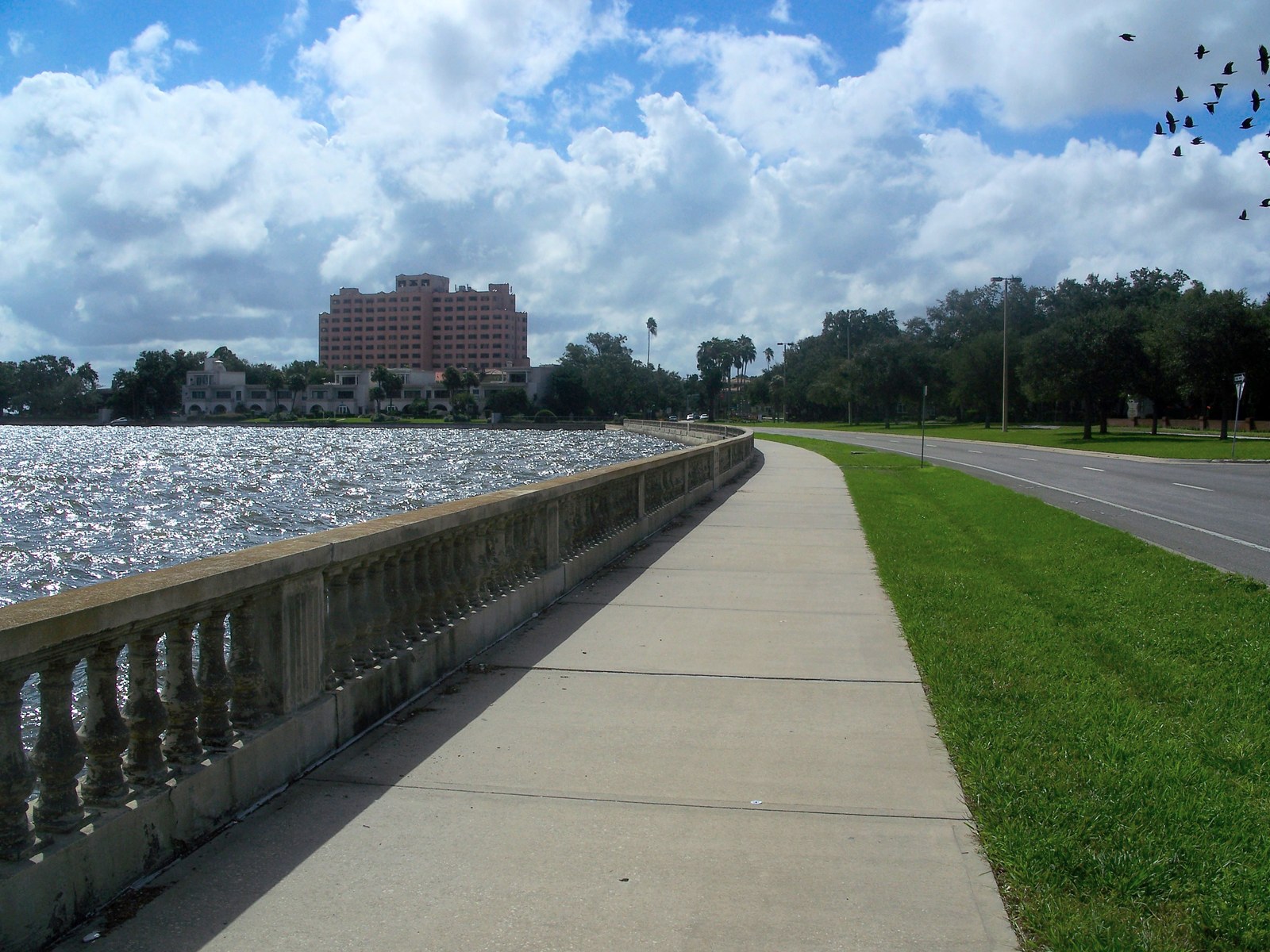 The paved sidewalk along Bayshore Boulevard curving beside Hillsborough Bay in Tampa, with a waterfront building visible across the water.