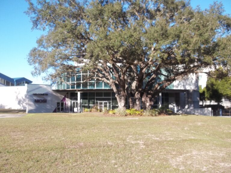 The exterior entrance of MOSI (Museum of Science & Innovation) on East Fowler Avenue in Tampa, with a large oak tree in front of the glass-fronted building and a sign reading WELCOME TO MOSI.